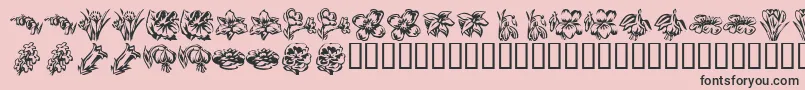 フォントKR Beautiful Flowers 2 – ピンクの背景に黒い文字