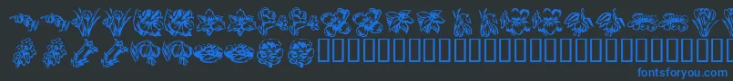 KR Beautiful Flowers 2 Font – Blue Fonts on Black Background