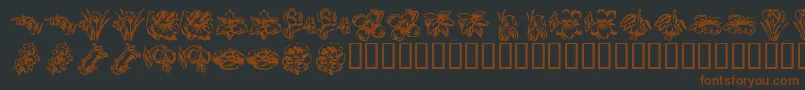 KR Beautiful Flowers 2 Font – Brown Fonts on Black Background