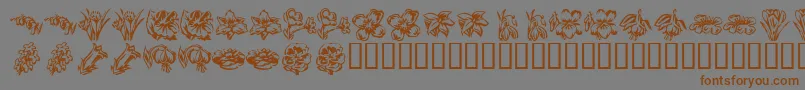 KR Beautiful Flowers 2 Font – Brown Fonts on Gray Background