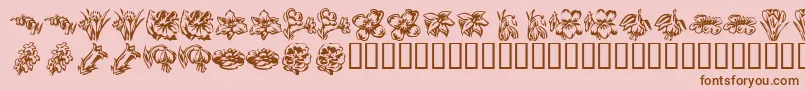 KR Beautiful Flowers 2 Font – Brown Fonts on Pink Background