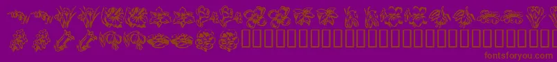 KR Beautiful Flowers 2 Font – Brown Fonts on Purple Background