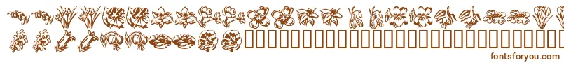 KR Beautiful Flowers 2 Font – Brown Fonts on White Background