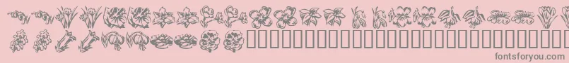 KR Beautiful Flowers 2-Schriftart – Graue Schriften auf rosa Hintergrund