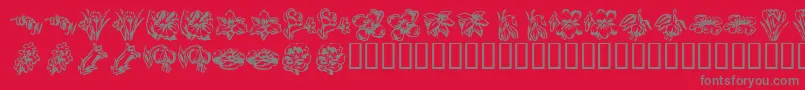 フォントKR Beautiful Flowers 2 – 赤い背景に灰色の文字