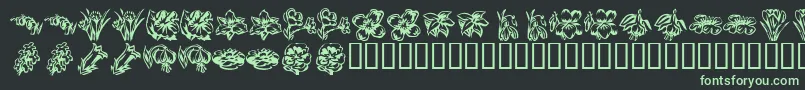 フォントKR Beautiful Flowers 2 – 黒い背景に緑の文字