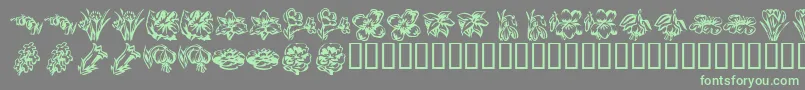 KR Beautiful Flowers 2 Font – Green Fonts on Gray Background