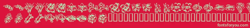 フォントKR Beautiful Flowers 2 – 赤い背景に緑の文字