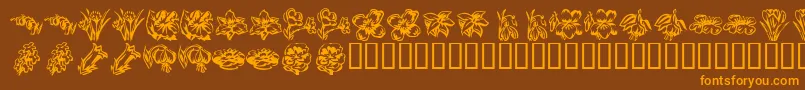 KR Beautiful Flowers 2 Font – Orange Fonts on Brown Background