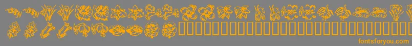 KR Beautiful Flowers 2 Font – Orange Fonts on Gray Background