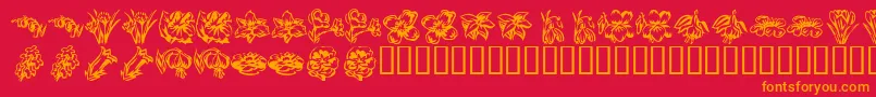 KR Beautiful Flowers 2-Schriftart – Orangefarbene Schriften auf rotem Hintergrund