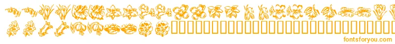 KR Beautiful Flowers 2 Font – Orange Fonts on White Background