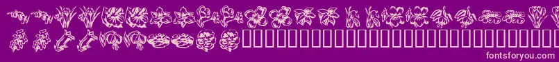 KR Beautiful Flowers 2 Font – Pink Fonts on Purple Background