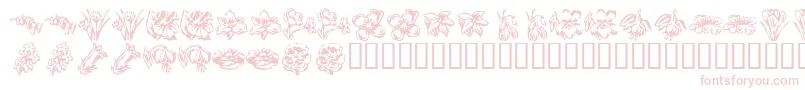 KR Beautiful Flowers 2 Font – Pink Fonts on White Background