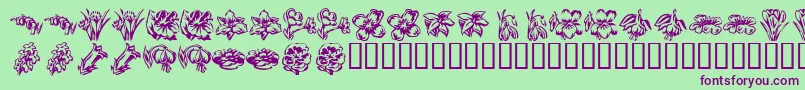 KR Beautiful Flowers 2 Font – Purple Fonts on Green Background