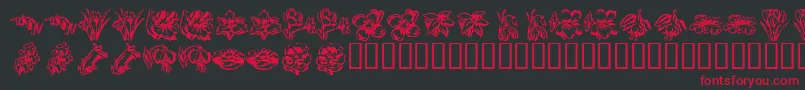 KR Beautiful Flowers 2 Font – Red Fonts on Black Background