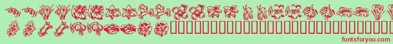 KR Beautiful Flowers 2-Schriftart – Rote Schriften auf grünem Hintergrund