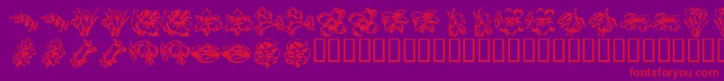 KR Beautiful Flowers 2-Schriftart – Rote Schriften auf violettem Hintergrund