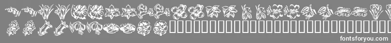 KR Beautiful Flowers 2 Font – White Fonts on Gray Background