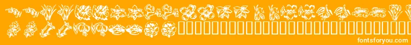 KR Beautiful Flowers 2-Schriftart – Weiße Schriften auf orangefarbenem Hintergrund