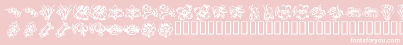 KR Beautiful Flowers 2 Font – White Fonts on Pink Background