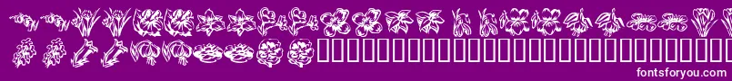 KR Beautiful Flowers 2 Font – White Fonts on Purple Background