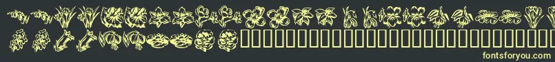 フォントKR Beautiful Flowers 2 – 黒い背景に黄色の文字