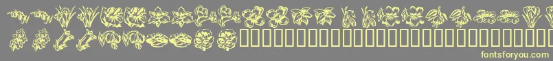 KR Beautiful Flowers 2 Font – Yellow Fonts on Gray Background