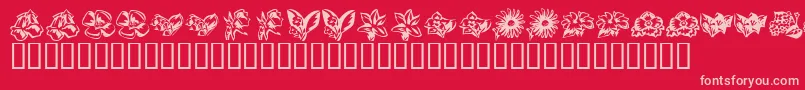 KR Beautiful Flowers 3 Font – Pink Fonts on Red Background