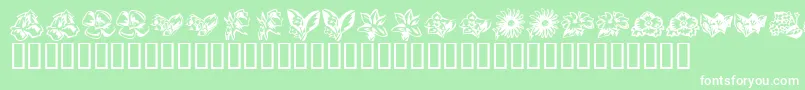 Шрифт KR Beautiful Flowers 3 – белые шрифты на зелёном фоне