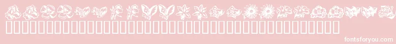 KR Beautiful Flowers 3-Schriftart – Weiße Schriften auf rosa Hintergrund