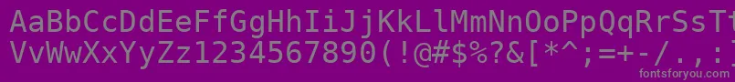 フォントBitstreamVeraSansMono – 紫の背景に灰色の文字