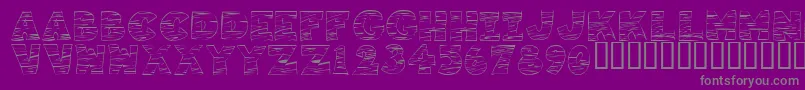 KR Tigrrr Font – Gray Fonts on Purple Background