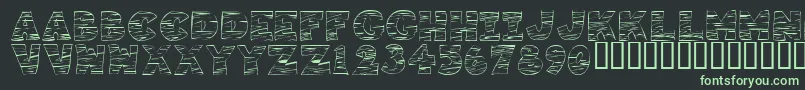 KR Tigrrr Font – Green Fonts on Black Background