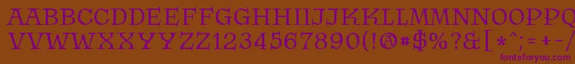 Krasomila 021 Font – Purple Fonts on Brown Background