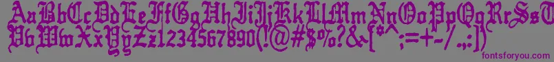 kraut    typefuck11-Schriftart – Violette Schriften auf grauem Hintergrund