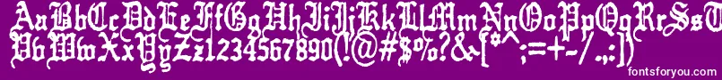 kraut    typefuck11 Font – White Fonts on Purple Background