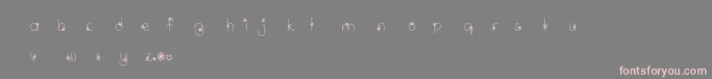 フォントMtfWildflower – 灰色の背景にピンクのフォント