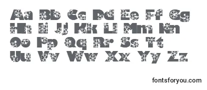 Обзор шрифта Krystal