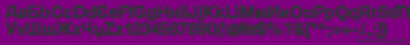 KyrillaSansSerif Black Font – Black Fonts on Purple Background