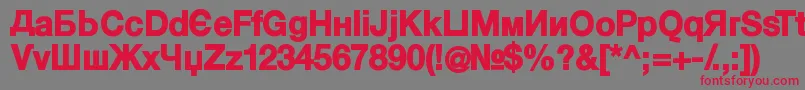 KyrillaSansSerif Black Font – Red Fonts on Gray Background