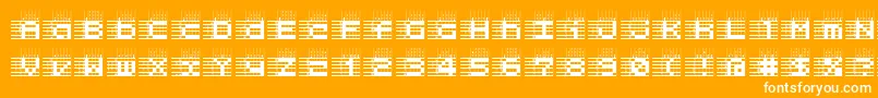 l25a   Font – White Fonts on Orange Background
