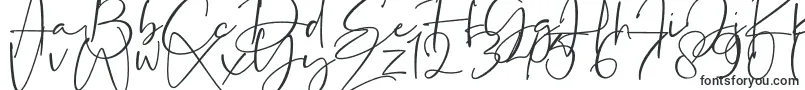 Шрифт La Paloma – шрифты, начинающиеся на L