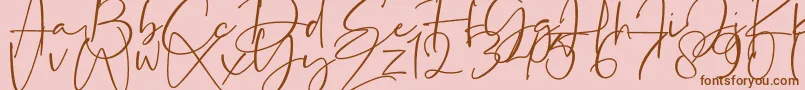 Fonte La Paloma – fontes marrons em um fundo rosa