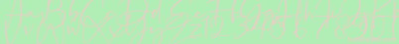Шрифт La Paloma – розовые шрифты на зелёном фоне