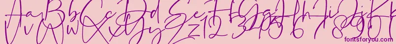 La Paloma-Schriftart – Violette Schriften auf rosa Hintergrund
