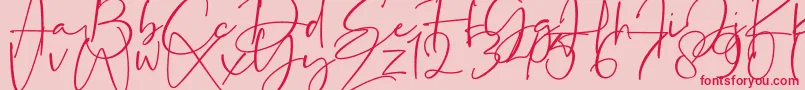 La Paloma-Schriftart – Rote Schriften auf rosa Hintergrund