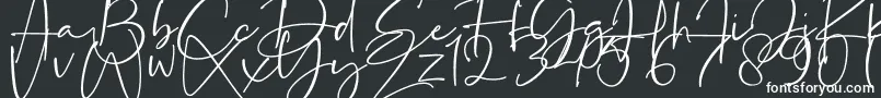Czcionka La Paloma – białe czcionki