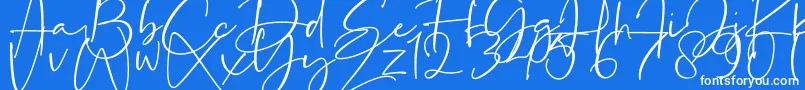 La Paloma-Schriftart – Weiße Schriften auf blauem Hintergrund