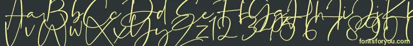 La Paloma-Schriftart – Gelbe Schriften auf schwarzem Hintergrund